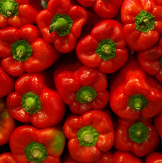 paprika staand