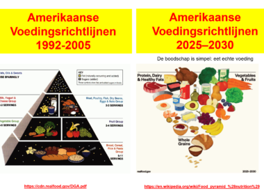 Nieuwe Amerikaanse voedingsrichtlijnen: eet minder koolhydraten en meer vet en eiwit uit echte voeding 7