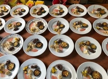 Biodynamisch dineren bij de boer 9