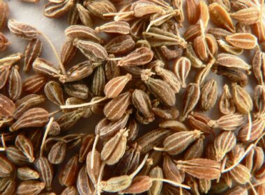 Anijs: veelzijdig inzetbaar 7