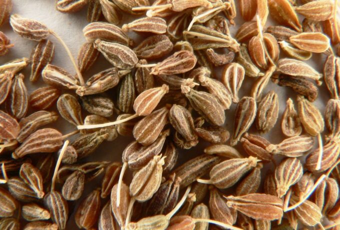 Anijs: veelzijdig inzetbaar 12