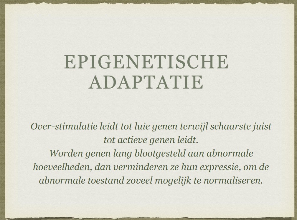 Lezing epigenetica: 'U bent wat uw grootmoeder at' 5