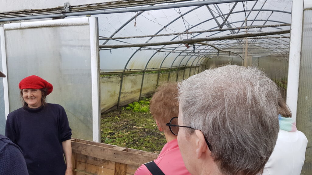 Rondleiding op biologisch-dynamische boerderij: ‘Natuurlijk telen levert het beste voedsel op’ 5