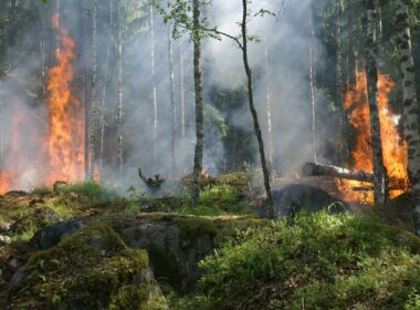 Natuurbranden gelinkt aan hoger kankerrisico 7