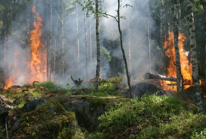 Natuurbranden gelinkt aan hoger kankerrisico 3