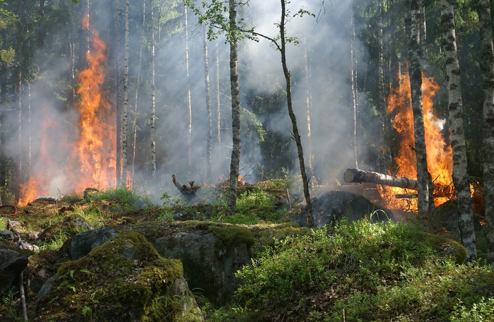 Natuurbranden gelinkt aan hoger kankerrisico 3
