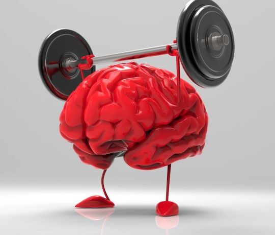 'Alzheimerhersenen' hebben zonder Alzheimer 3 'Alzheimerhersenen' hebben zonder Alzheimer 3
