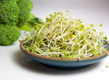 Sulforafaan uit broccolikiemen als diabetesmedicijn 19