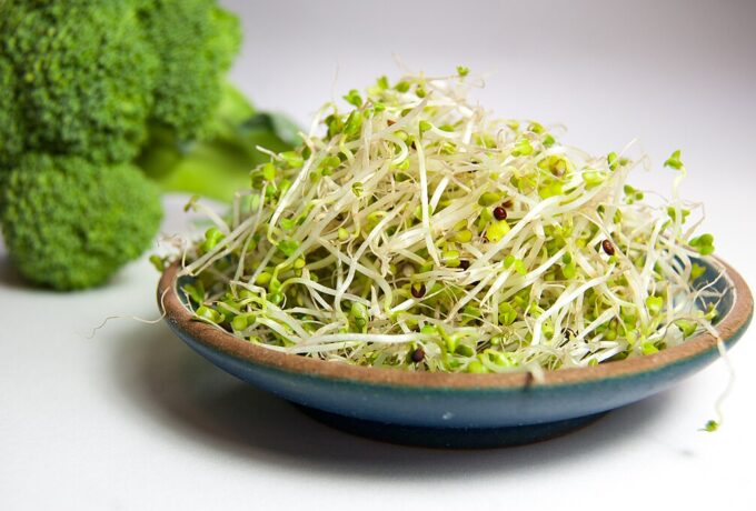 Sulforafaan uit broccolikiemen als diabetesmedicijn 12 Sulforafaan uit broccolikiemen als diabetesmedicijn 12