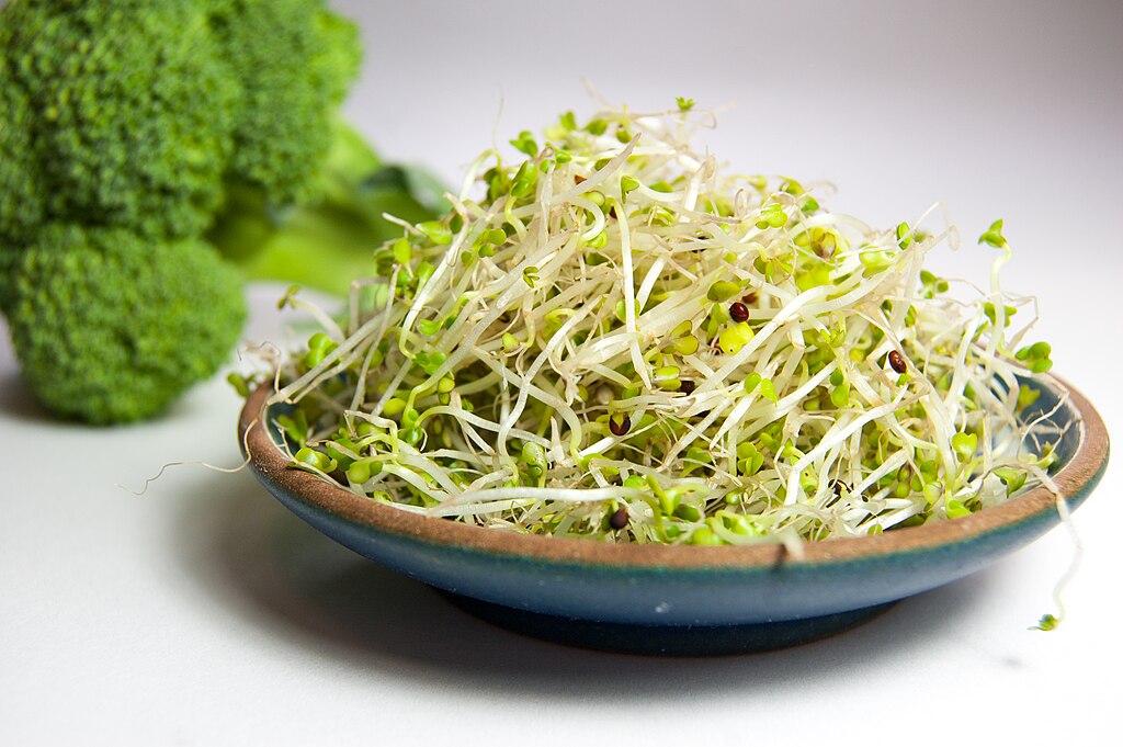 Sulforafaan uit broccolikiemen als diabetesmedicijn 3 Sulforafaan uit broccolikiemen als diabetesmedicijn 3