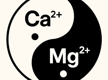 Op zoek naar de optimale calcium-magnesiumbalans 4