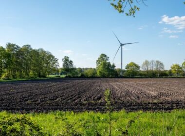 Een teveel aan cadmium of een tekort aan selenium? 19