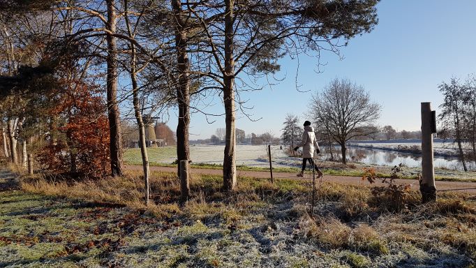 Slaap. Waarom je de dagelijkse wandeling het beste ’s morgens kunt maken 3