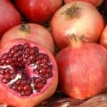 Plantaardig pigment pelargonidine beschermt proefdieren even goed als tamoxifen 4