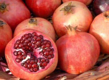 Plantaardig pigment pelargonidine beschermt proefdieren even goed als tamoxifen 20