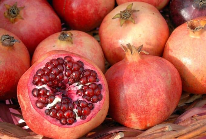 Plantaardig pigment pelargonidine beschermt proefdieren even goed als tamoxifen 3