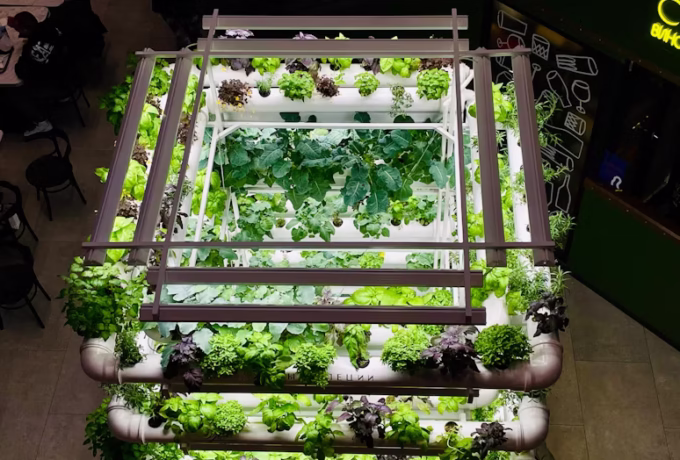 Groen(ten) kweken voor een betere kwaliteit van leven 3