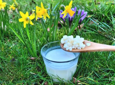 Rauwmelkse kefir tegen allergie 11