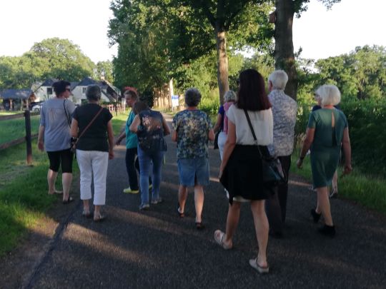 Maak een kruidenwandeling: leer over de geneeskracht van moeder natuur 3