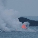 Procrastinatie, zelfkritiek en nagelbijten: huisgemaakte ellende uit lijfsbehoud 4