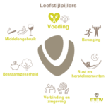 Voeding, beweging, ontspanning: hoe is de wisselwerking? 11