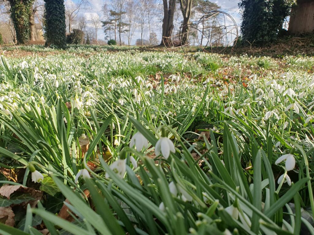 Natuurbeleving en hersenactiviteit 3