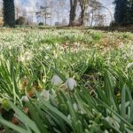 Natuurbeleving en hersenactiviteit 3