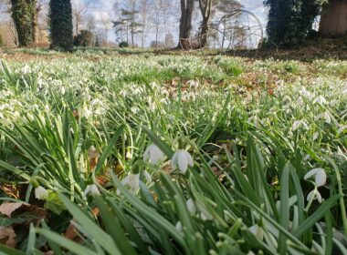 Natuurbeleving en hersenactiviteit 7