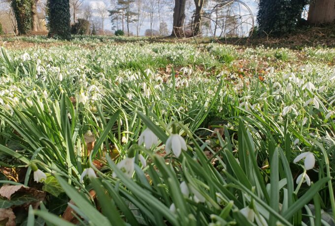 Natuurbeleving en hersenactiviteit 3