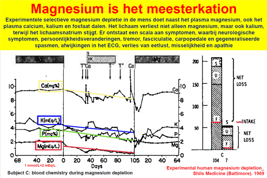 Factcheck: zijn onze magnesiuminname en -status toereikend? 3