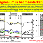 Factcheck: zijn onze magnesiuminname en -status toereikend? 4