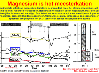Factcheck: zijn onze magnesiuminname en -status toereikend? 4