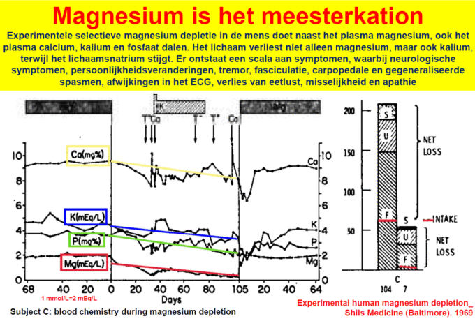 Factcheck: zijn onze magnesiuminname en -status toereikend? 3 Factcheck: zijn onze magnesiuminname en -status toereikend? 3
