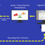 Neurofeedback tegen ‘chemobrein’ 5