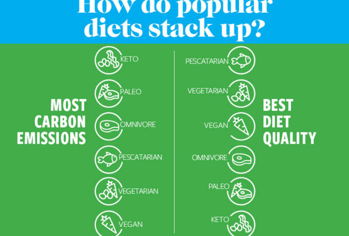 Keto of vegan? Een gezond dieet voor de planeet 3