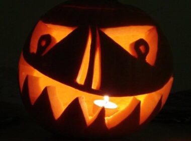 Waarom je biologische pompoenen wil hebben 4