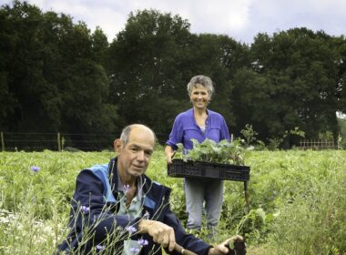 Rineke Dijkinga: 'Werk aan biodiversiteit op je eigen vierkante meter' 4