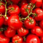 Tomaten met extra lycopeen. Mannen met prostaatkanker gezocht voor voedingsstudie 8
