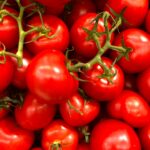 Tomaten met extra lycopeen. Mannen met prostaatkanker gezocht voor voedingsstudie 18