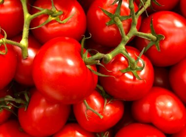 Tomaten met extra lycopeen. Mannen met prostaatkanker gezocht voor voedingsstudie 9