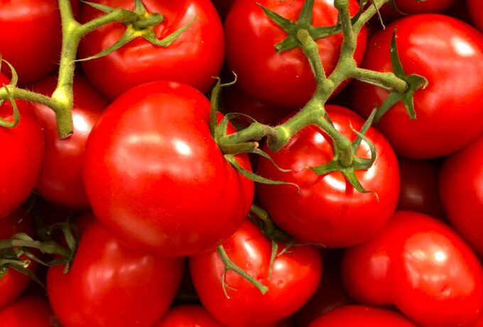 Tomaten met extra lycopeen. Mannen met prostaatkanker gezocht voor voedingsstudie 3