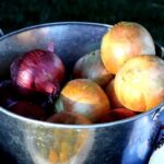 Onderzoek: quercetine remt longkanker in muizen 4