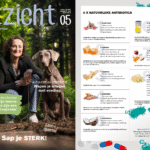 Juicers klaar? Sappen maar! Nieuwe Uitzicht onderweg met zomerse saprecepten 4