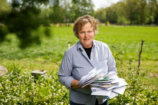 Top-3 kruiden tegen virussen 3