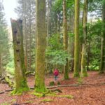Wandelen als therapie 14