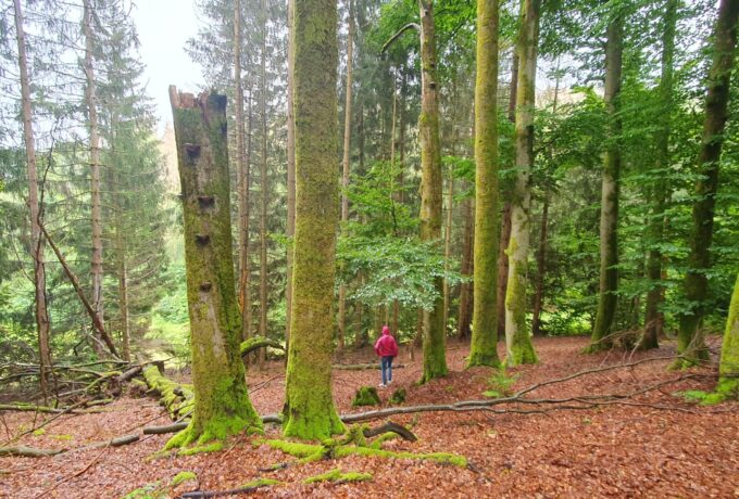 Wandelen als therapie 10