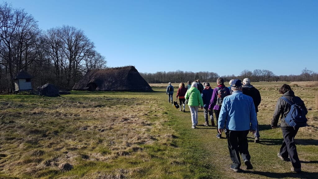 Ontspannen wandelen met MMV: 'Iedereen brengt dezelfde energie mee' 6