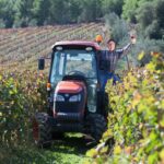 Wat mag het zijn, een borrel, bier of wijn? 4