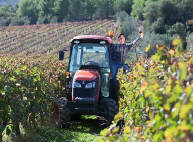 Wat mag het zijn, een borrel, bier of wijn? 7