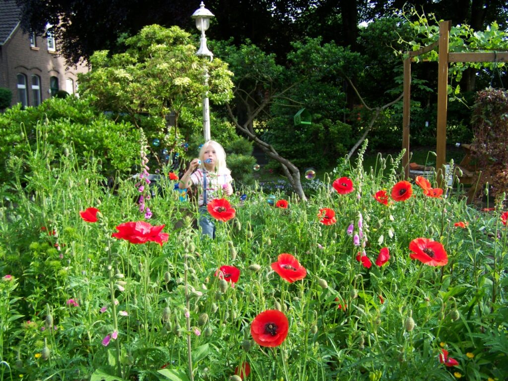 Een wilde tuin, wat zullen de buren zeggen? 3